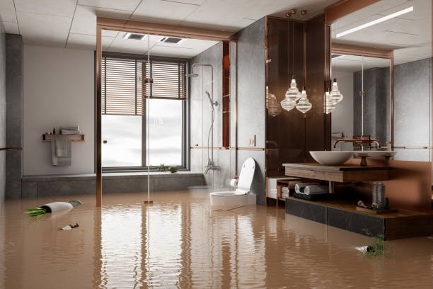 basement flood contractors hutchinson, ks
